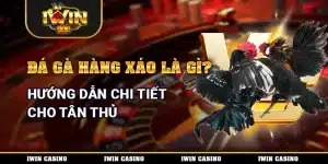 đá gà hàng xáo