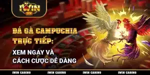 đá gà campuchia trực tiếp