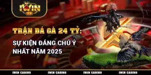 trận đá gà 24 tỷ